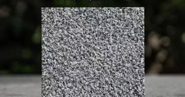 鄂州 芝麻黑荔枝面