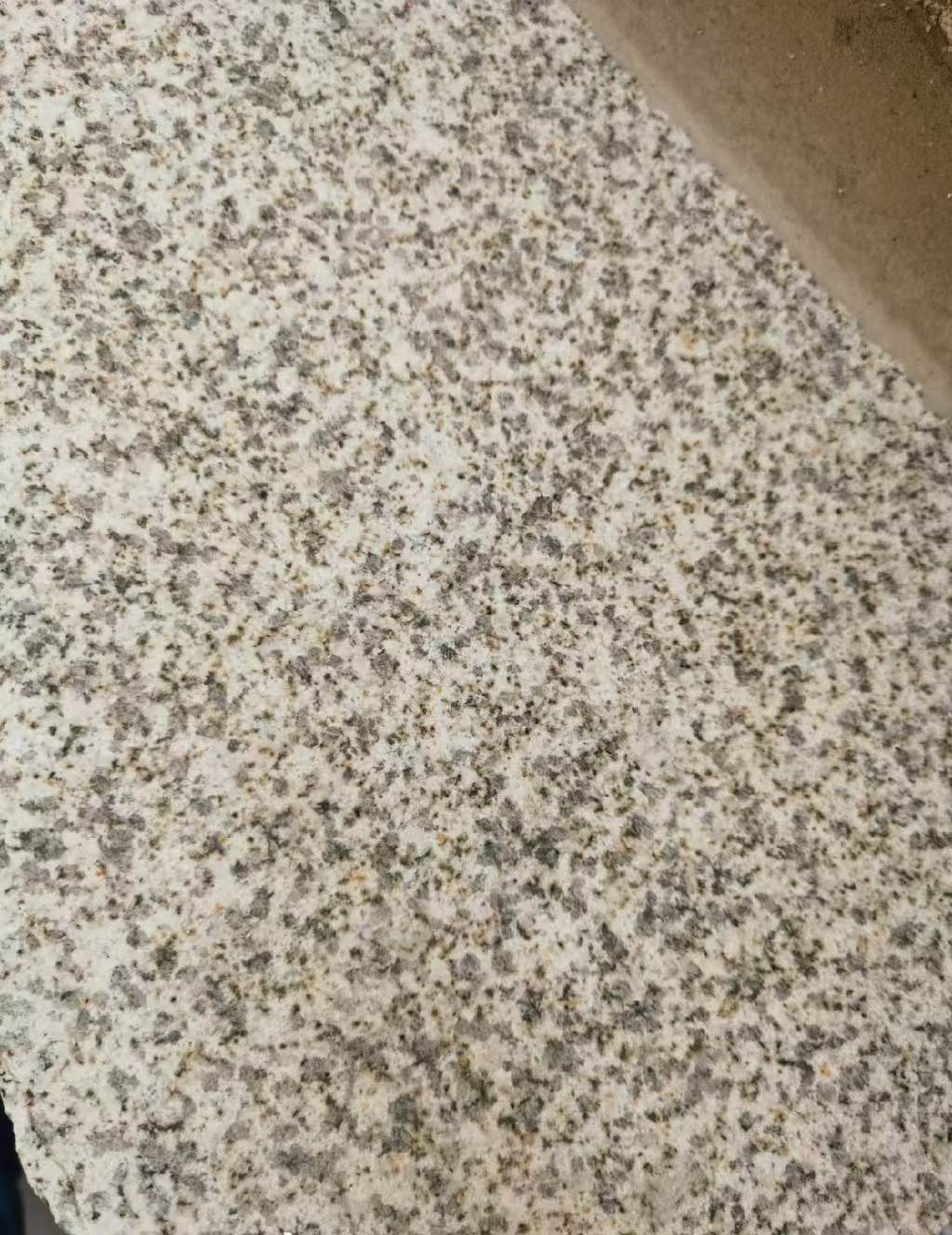 鄂州 黄金麻中黄光面