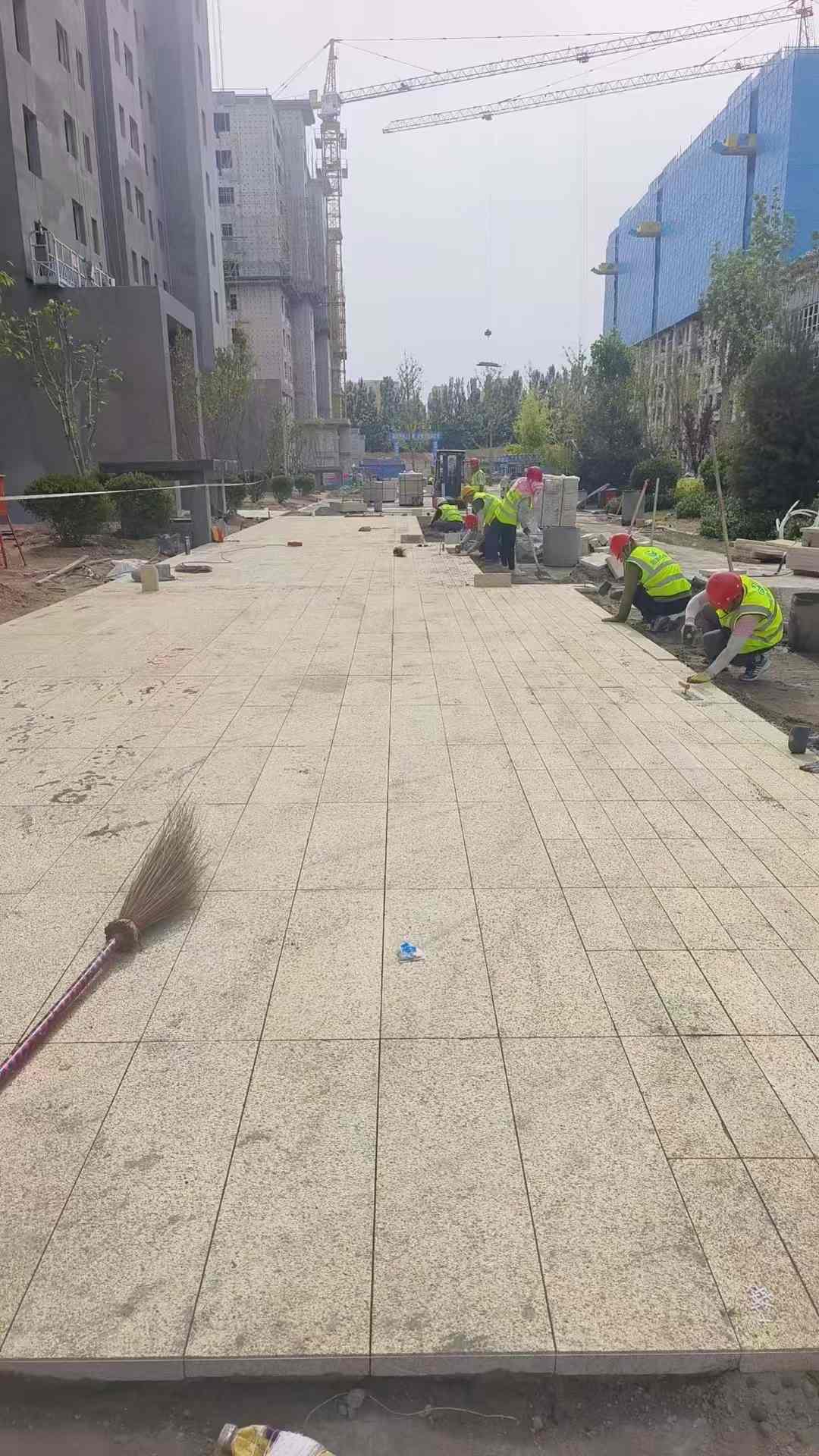 鄂州黄金麻荔枝面地铺案例